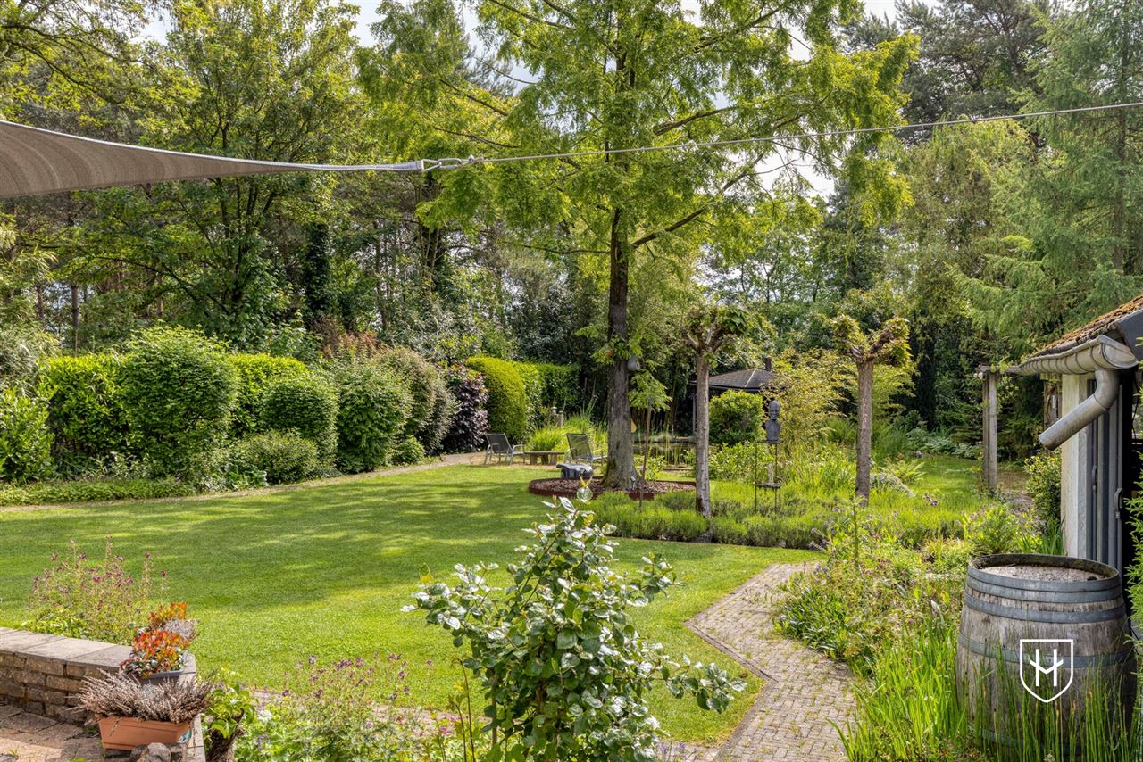 Architectural home with impressive living space with optimal garden contact and a special park garden with swimming pond with an exceptional nature experience