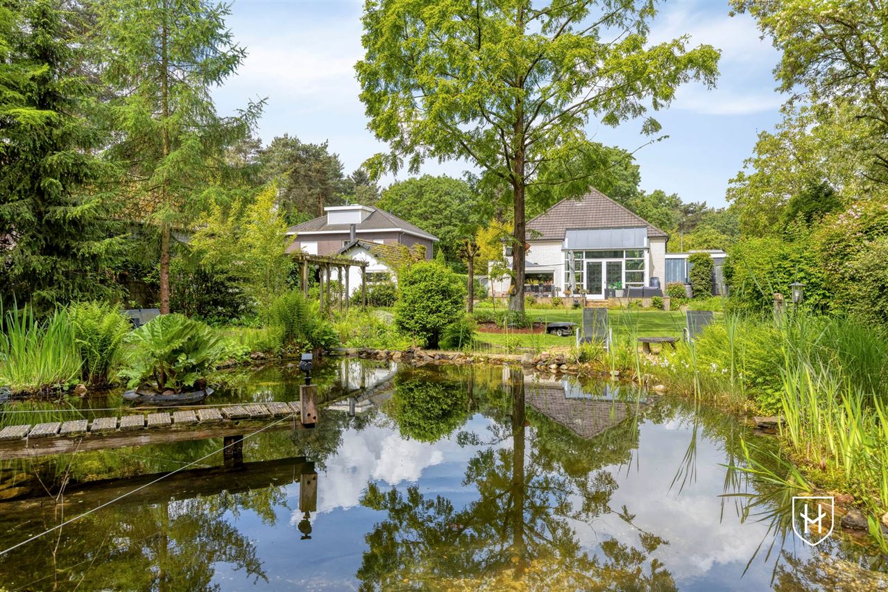 Architectural home with impressive living space with optimal garden contact and a special park garden with swimming pond with an exceptional nature experience