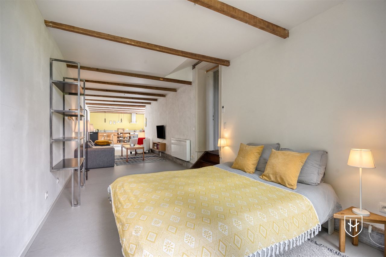 Historic mansion with guest house on a privileged location in an idyllic and natural setting in Visé