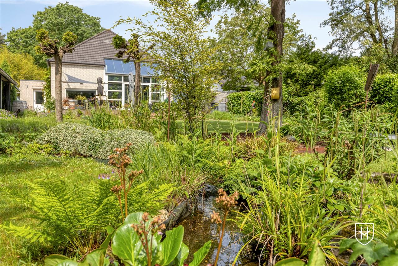 Architectural home with impressive living space with optimal garden contact and a special park garden with swimming pond with an exceptional nature experience