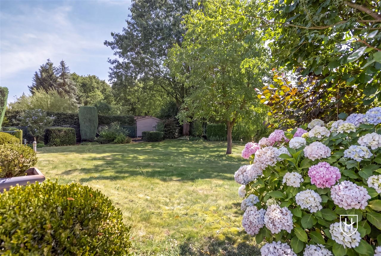 Spacious 4-bedroom bungalow on the edge of the woods in a sought-after prime location in the lush Zutendaal