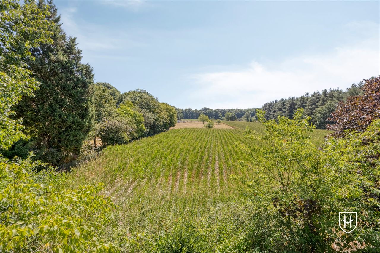 Spacious 4-bedroom bungalow on the edge of the woods in a sought-after prime location in the lush Zutendaal