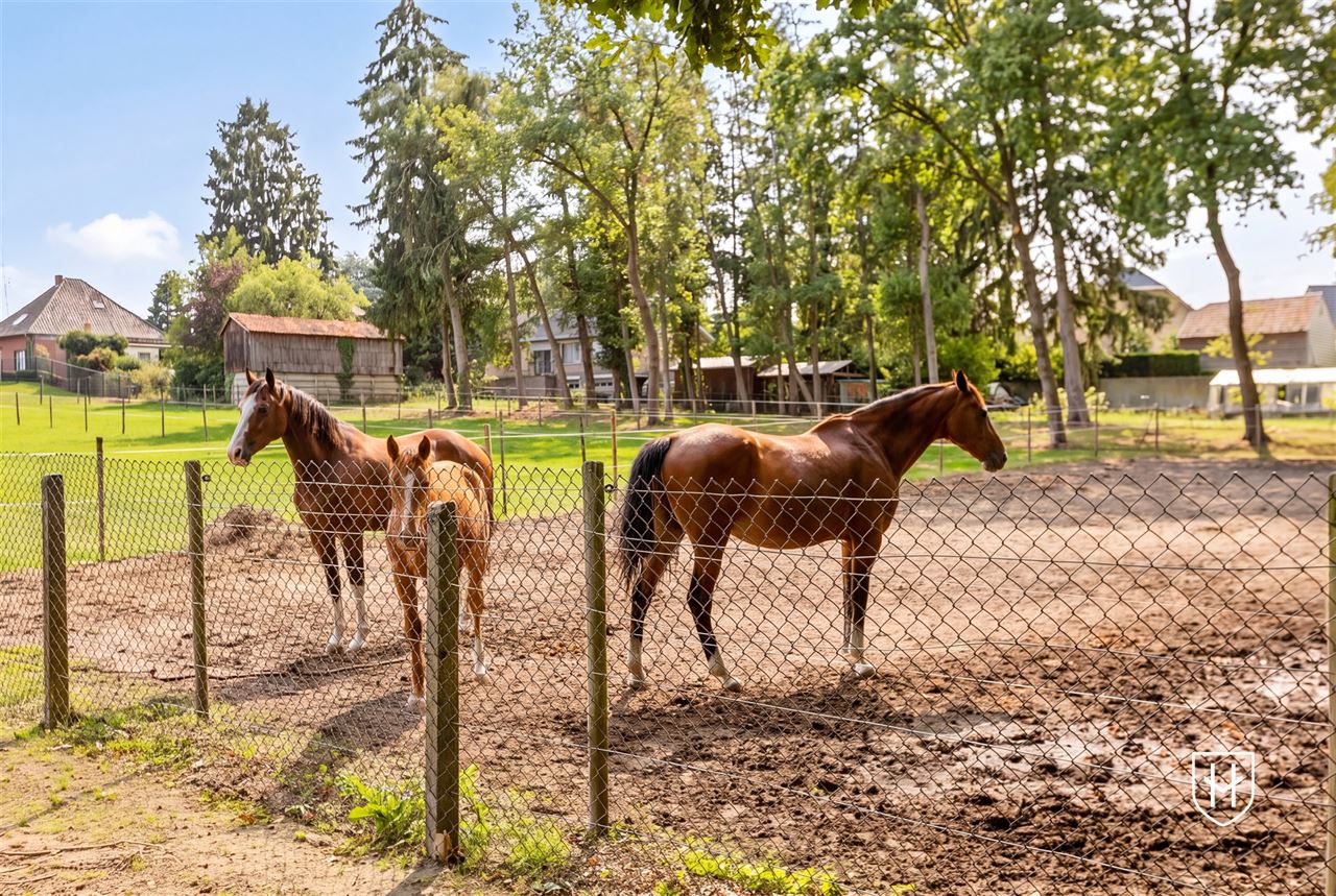 Royale (kangoeroe)woning met paardenweide, 6 slaapkamers, riant souterrain en dubbele garage, op een unieke locatie aan de bosrand van Lanaken-Gellik