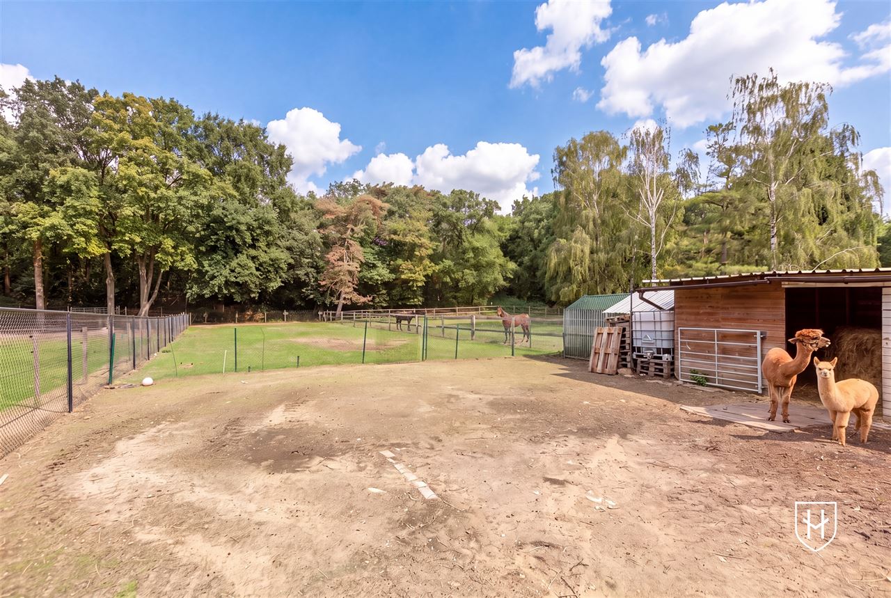 Royale (kangoeroe)woning met paardenweide, 6 slaapkamers, riant souterrain en dubbele garage, op een unieke locatie aan de bosrand van Lanaken-Gellik