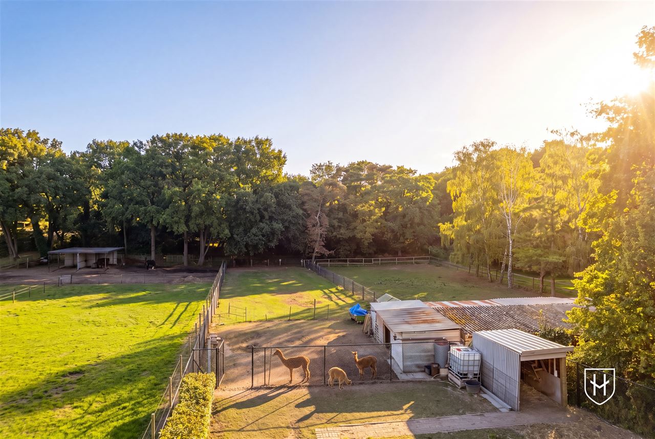 Royale (kangoeroe)woning met paardenweide, 6 slaapkamers, riant souterrain en dubbele garage, op een unieke locatie aan de bosrand van Lanaken-Gellik