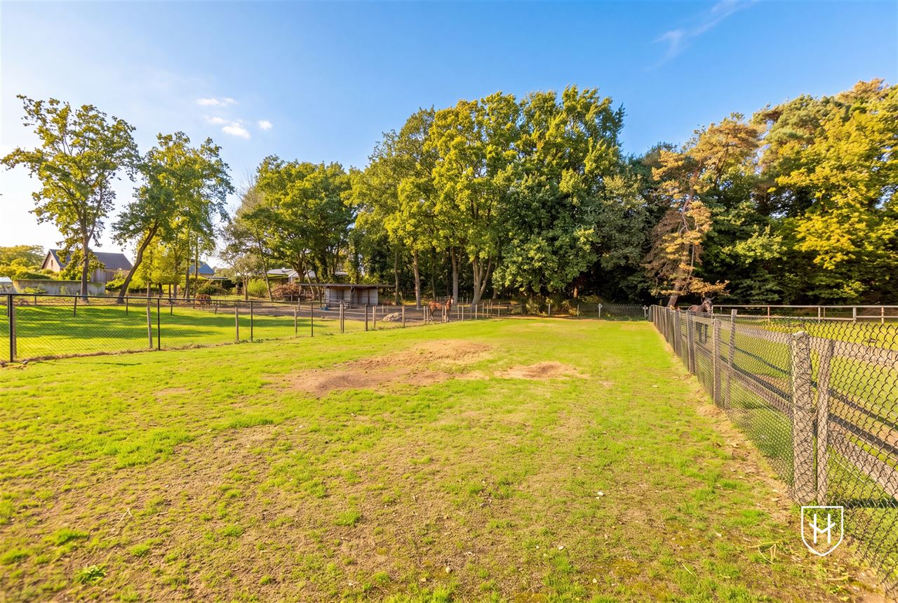Royale (kangoeroe)woning met paardenweide, 6 slaapkamers, riant souterrain en dubbele garage, op een unieke locatie aan de bosrand van Lanaken-Gellik
