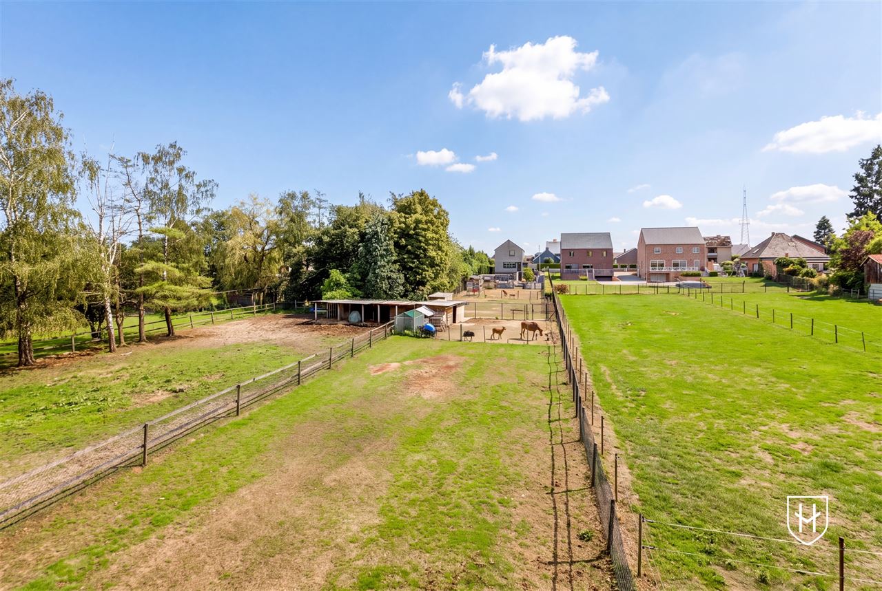 Royale (kangoeroe)woning met paardenweide, 6 slaapkamers, riant souterrain en dubbele garage, op een unieke locatie aan de bosrand van Lanaken-Gellik