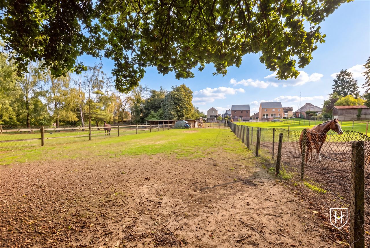 Royale (kangoeroe)woning met paardenweide, 6 slaapkamers, riant souterrain en dubbele garage, op een unieke locatie aan de bosrand van Lanaken-Gellik
