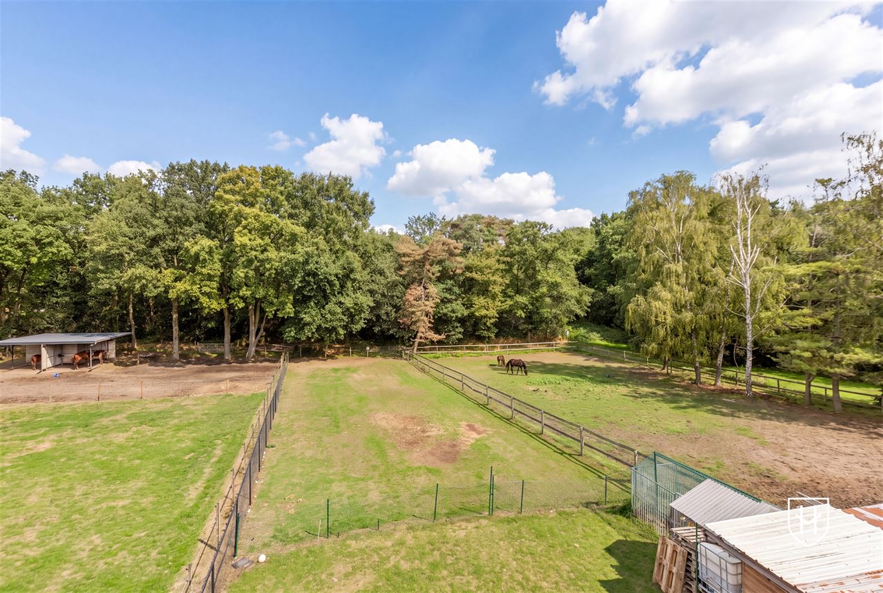 Royale (kangoeroe)woning met paardenweide, 6 slaapkamers, riant souterrain en dubbele garage, op een unieke locatie aan de bosrand van Lanaken-Gellik