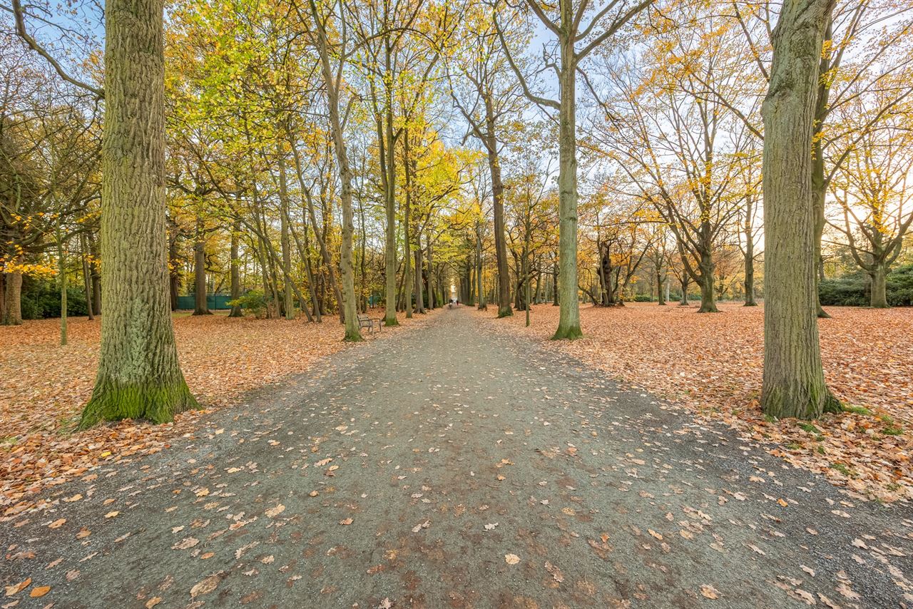 Gerenoveerde woning met unieke parkligging!