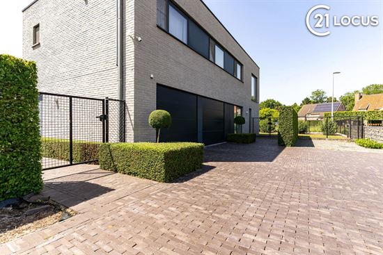 Lokeren