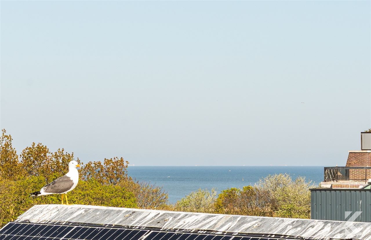 Instapklaar gerenoveerd appartement nabij strand