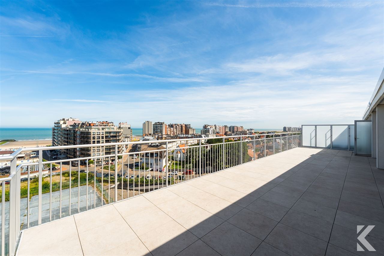 Gerenoveerde penthouse, 65 m2 terrassen, panoramisch zicht