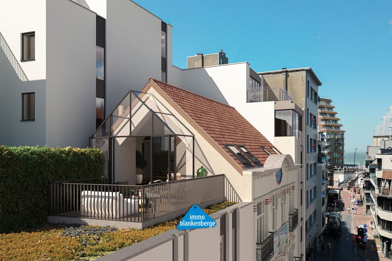Penthouse met Twee Slaapkamers en Zeer Ruim Terras