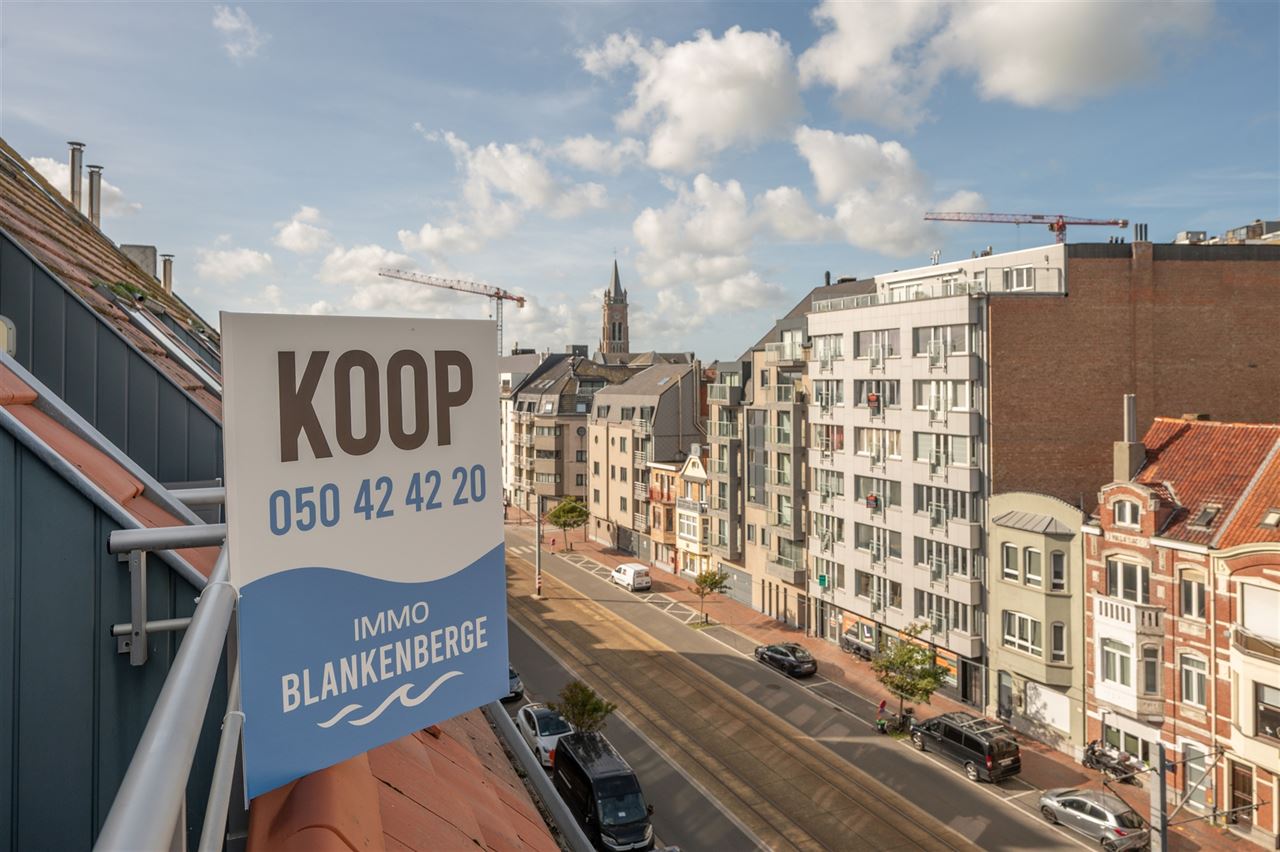 Ruime en stijlvolle duplex met terras en open zicht
