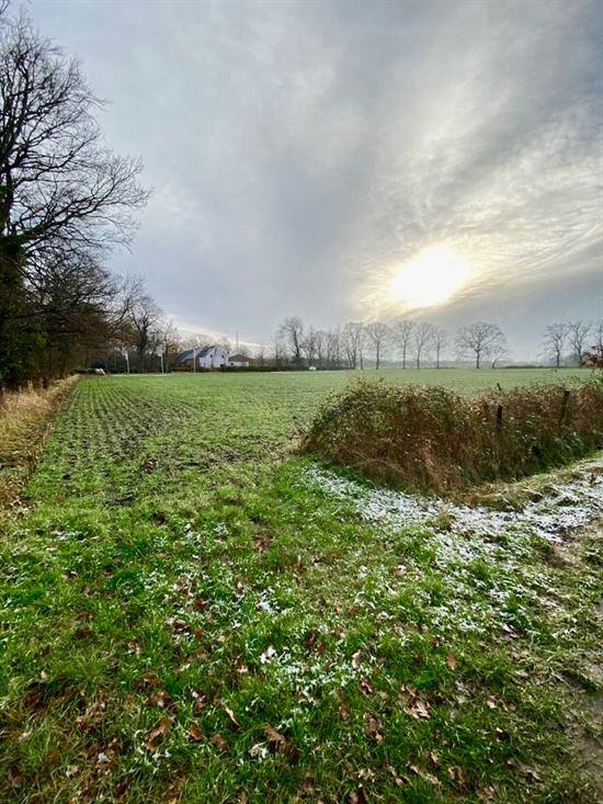 Ruim perceel grond van 15.660m² gelegen in recreatiegebied met diverse mogelijkheden