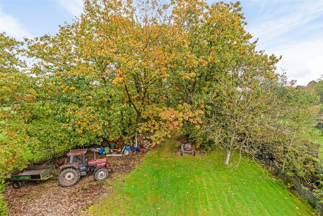 Te renoveren woning met 4 à 5 slaapkamers op 3.990 m²!