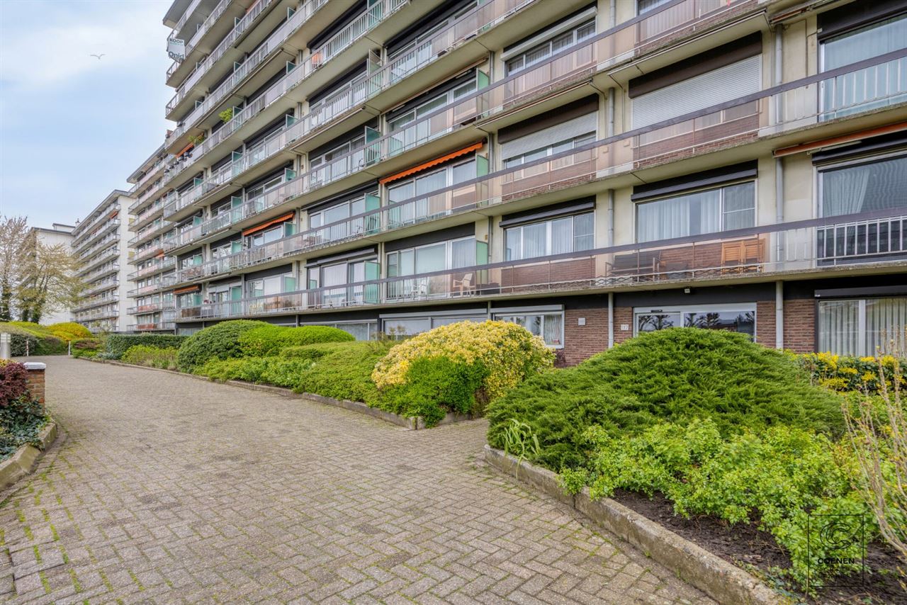 Ruim app met 3 slpk, staanplaats en schitterende tuin te Merksem!