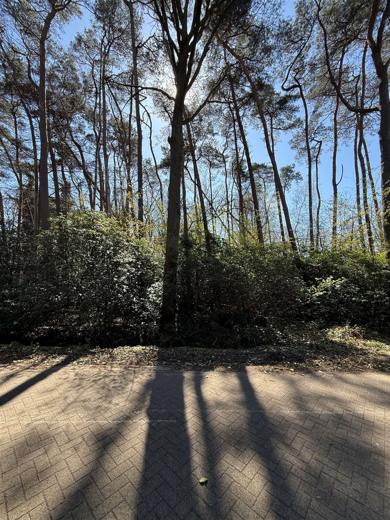Ruime bouwgrond van 2296 m2 op een schitterende locatie!