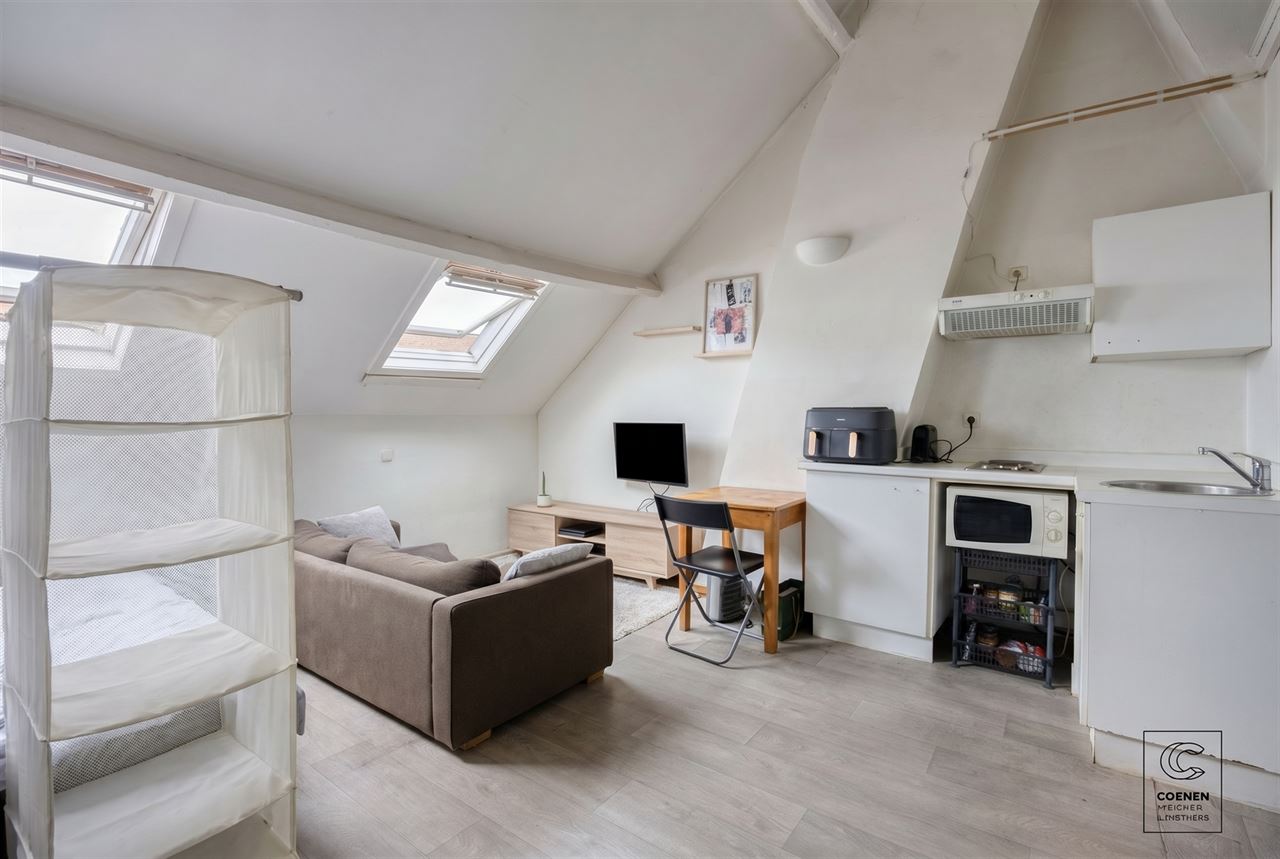 Ruime woning, momenteel ingericht als 4 studio's!