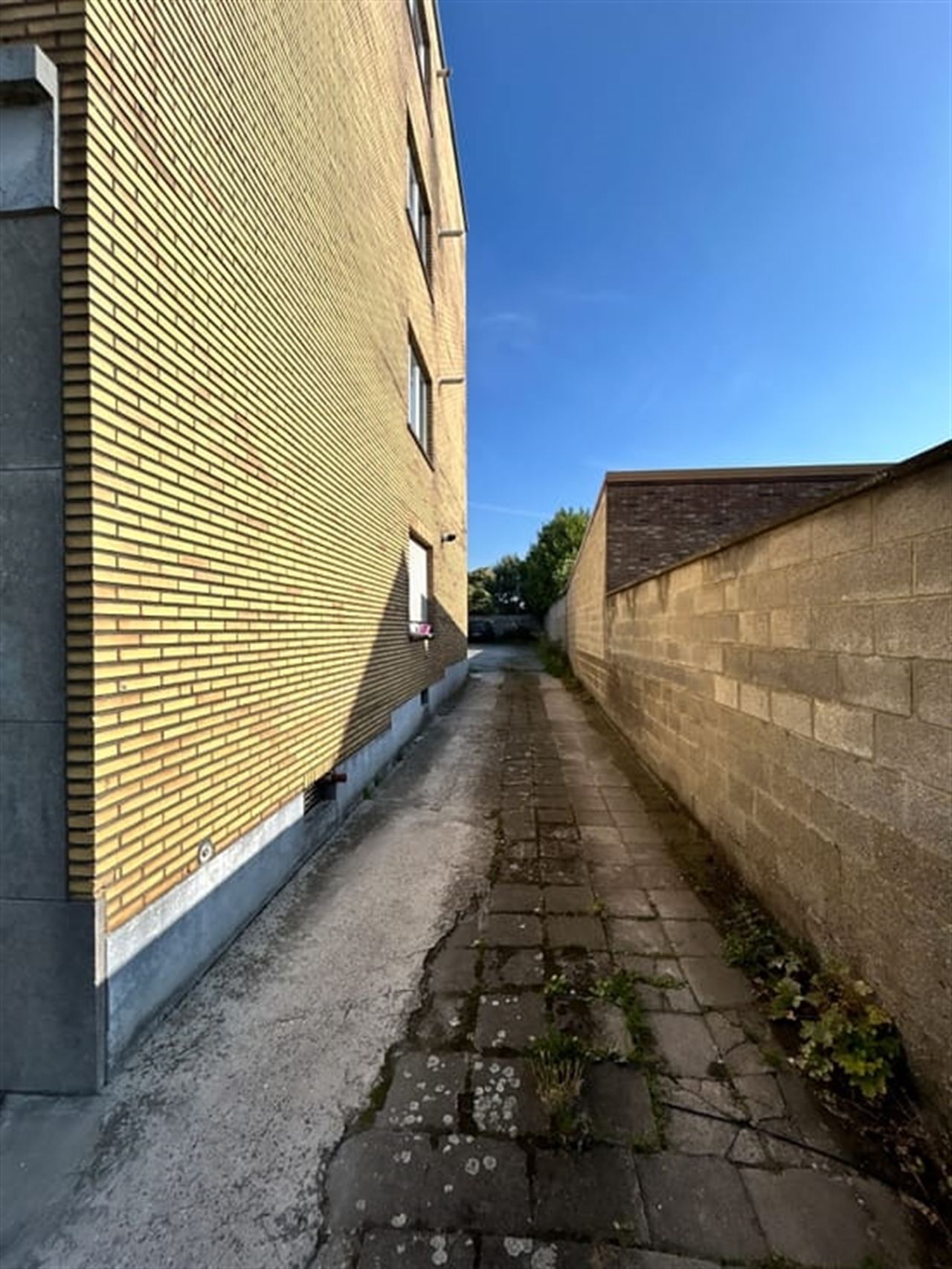 Opportunité à ne pas manquer !