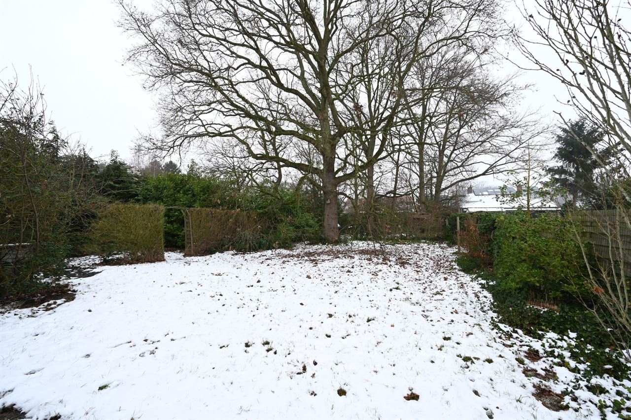 Projectgrond voor appartementen te centrum Begijnendijk.