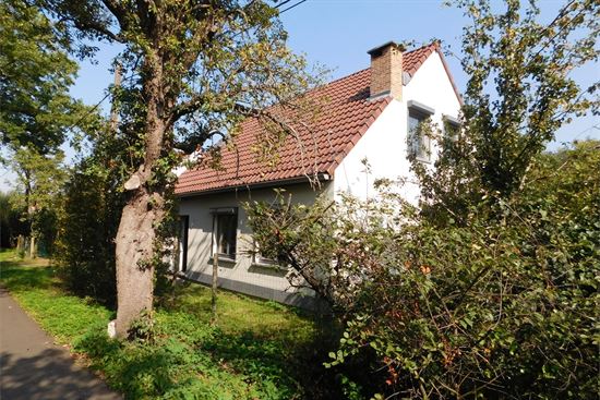 Totaal vernieuwde woning omgeven door groen, 3 slks, 2 badkamers.