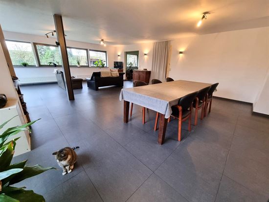 Vernieuwde woning, zeer rustig gelegen met enorm grote zolderruimte. Veel potentieel!