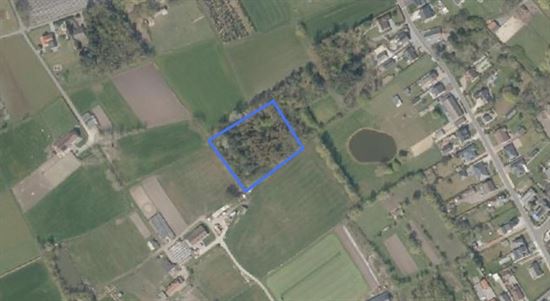 Agrarisch perceel bosgrond, 59a40ca