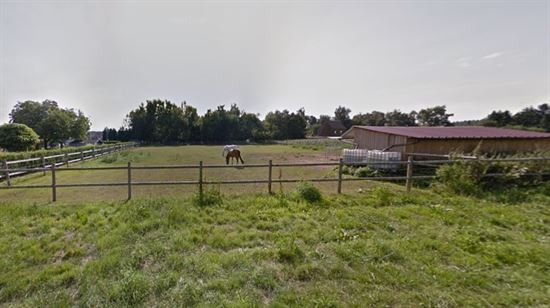 Rustig gelegen weiland met stalgebouw, volledig omheind - Ideaal voor dierenliefhebbers.
