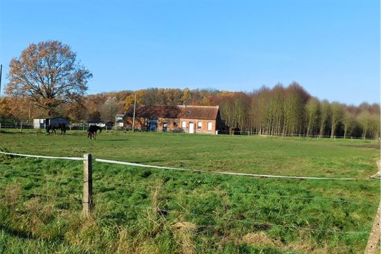 Te renoveren hoeve met achterliggende weilanden op1,5ha