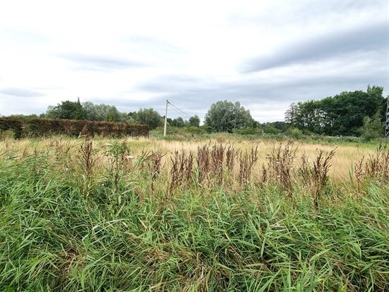 Bouwgrond voor vrijstaande, statige gezinswoning. Landelijk gelegen met agrarisch verzicht.