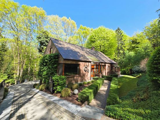 Villa gelegen in een prachtig bebost kader, zeer rustig gelegen, 3 tot 5 slaapkamers, zeer grote kelder.