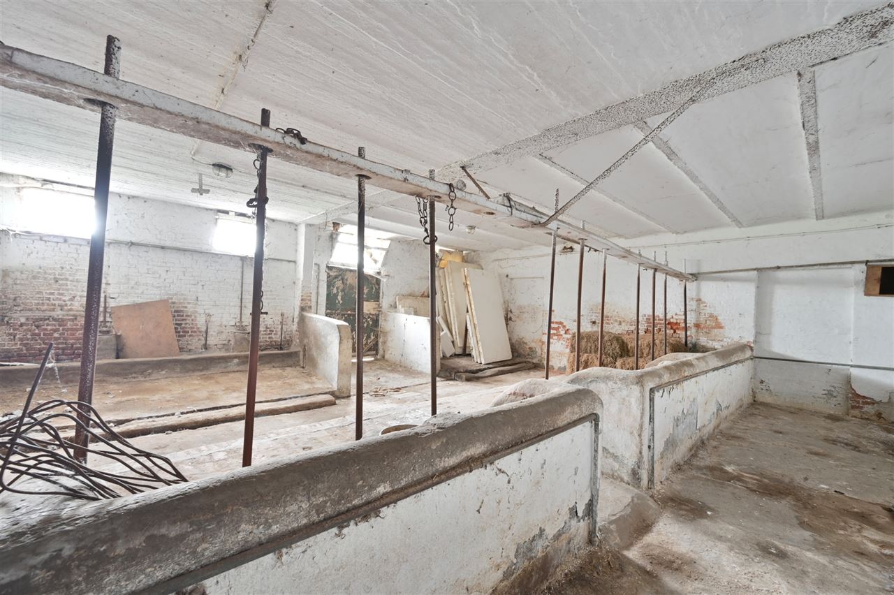Te renoveren hoeve op rustige locatie