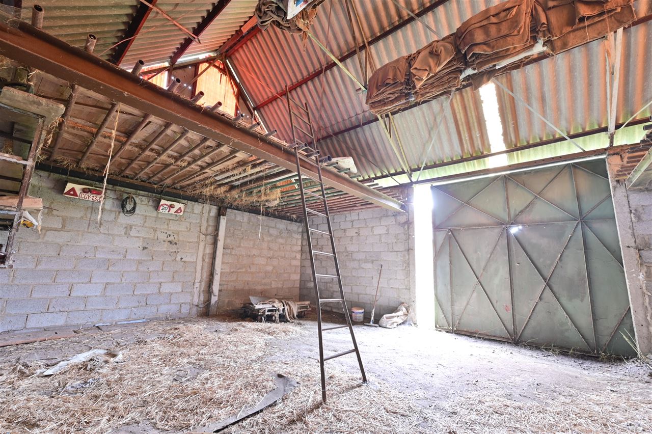 Te renoveren hoeve op rustige locatie