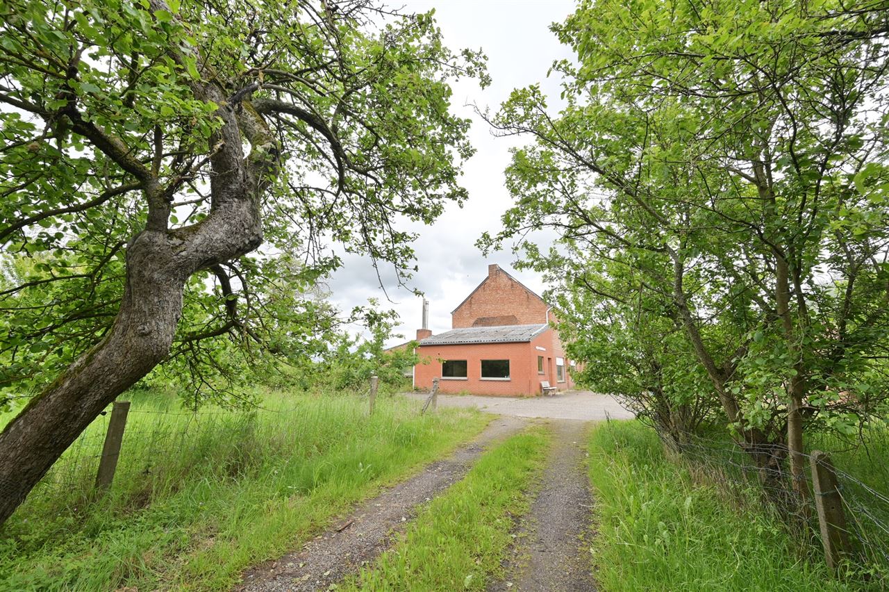 Te renoveren hoeve op rustige locatie