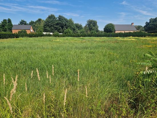 Mooie bouwgrond voor open bebouwing op 1035m² gelegen te Schriek