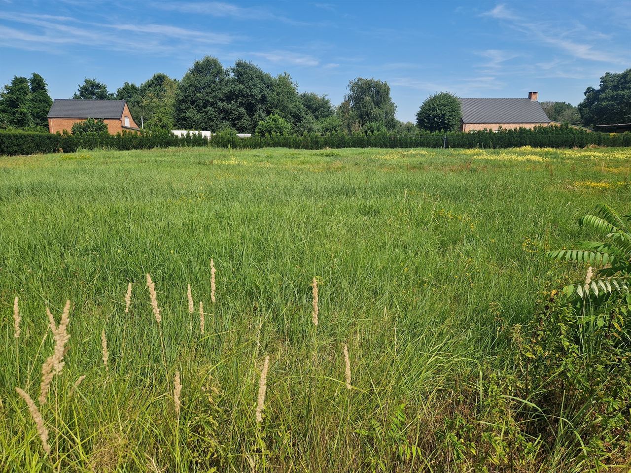 Mooie bouwgrond voor open bebouwing op 1035m² gelegen te Schriek