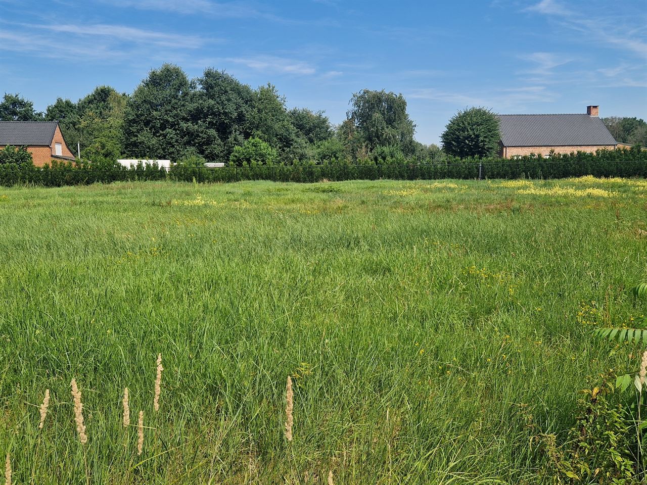 Mooie bouwgrond voor open bebouwing op 1035m² gelegen te Schriek