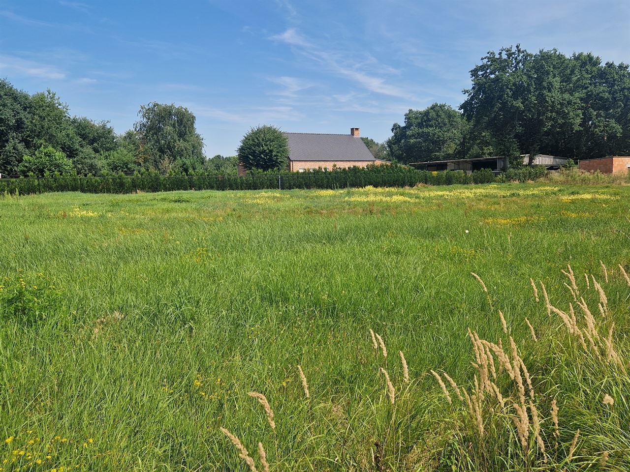 Mooie bouwgrond voor open bebouwing op 1035m² gelegen te Schriek