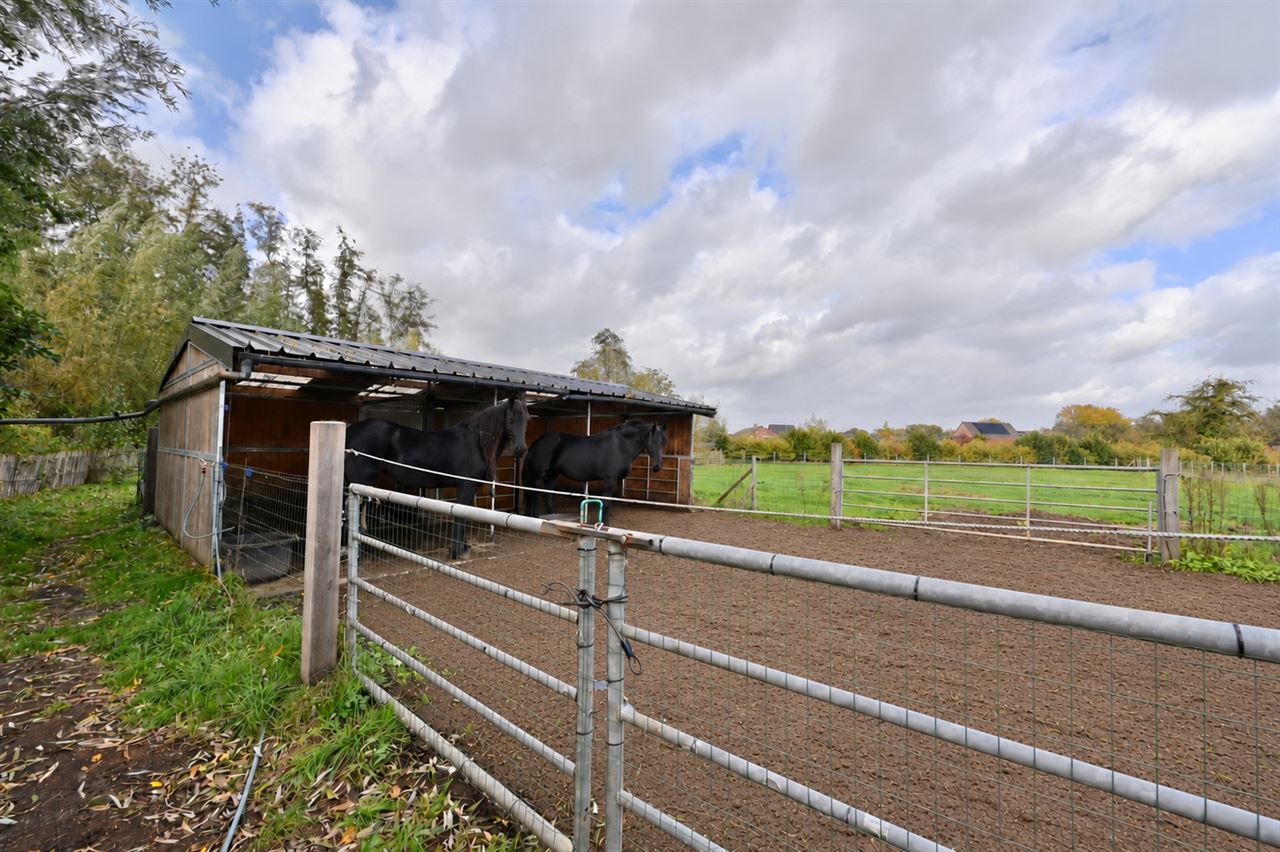 Energiezuinig wonen met uw paarden aan huis op ca. 6.900 m²