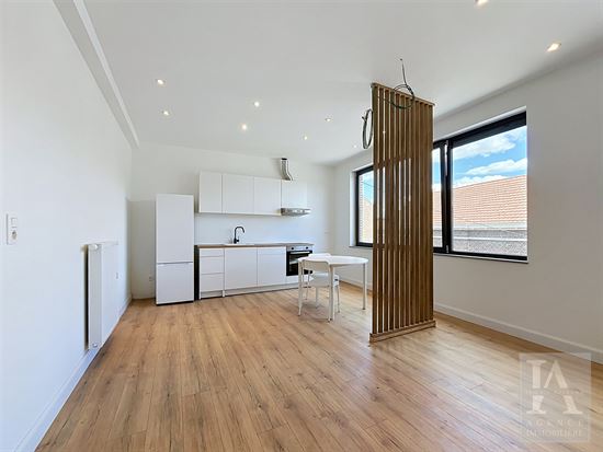 Appartement entièrement rénové 2 chambres