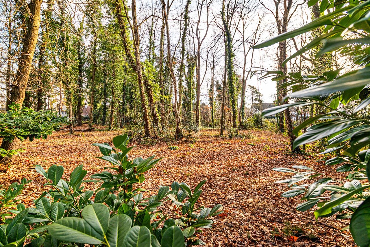 Exclusieve bouwgrond van 4.370 m² in “Golf & Meer”-domein
