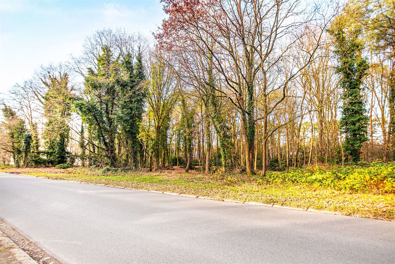 Exclusieve bouwgrond van 4.370 m² in “Golf & Meer”-domein
