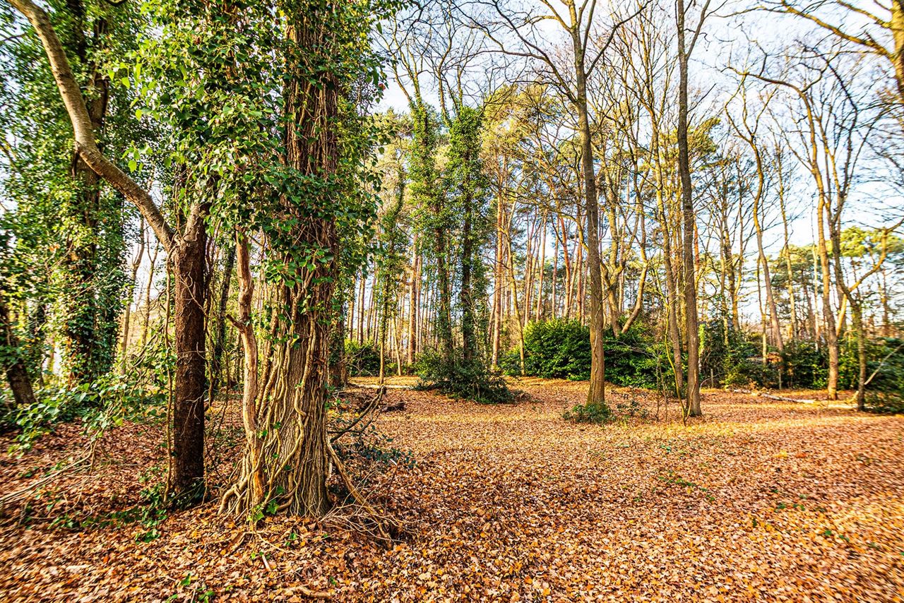 Exclusieve bouwgrond van 4.370 m² in “Golf & Meer”-domein