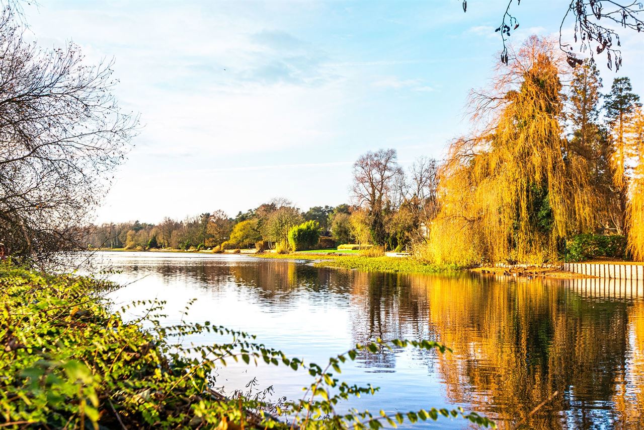 Exclusieve bouwgrond van 4.370 m² in “Golf & Meer”-domein