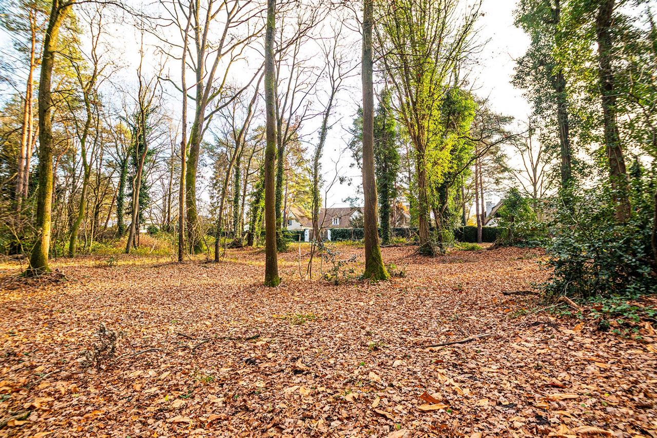 Exclusieve bouwgrond van 4.370 m² in “Golf & Meer”-domein