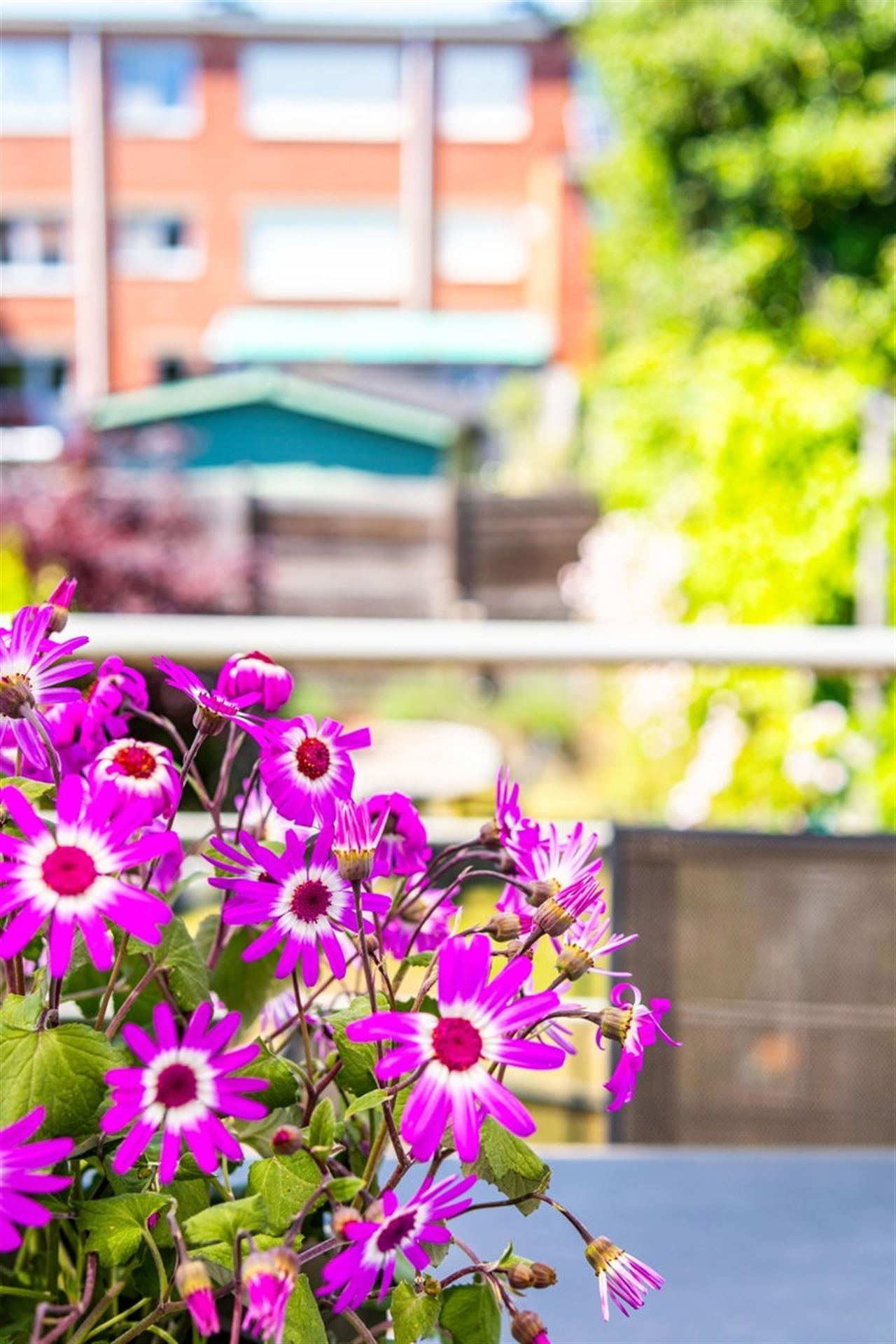 Instapklare EPC A Bel-etage, 4 slpk, 2 badk, tuin & terras