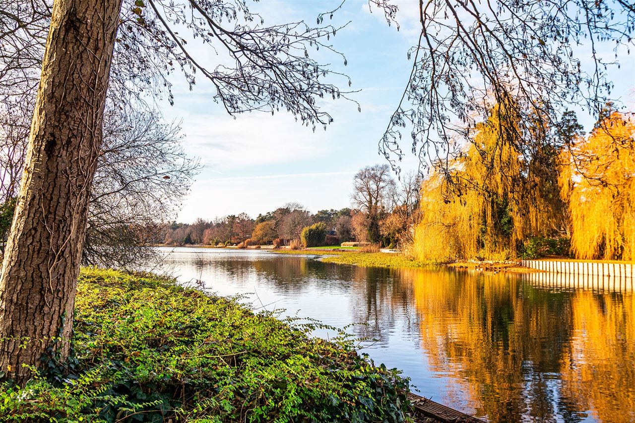 Exclusieve bouwgrond van 4.370 m² in “Golf & Meer”-domein