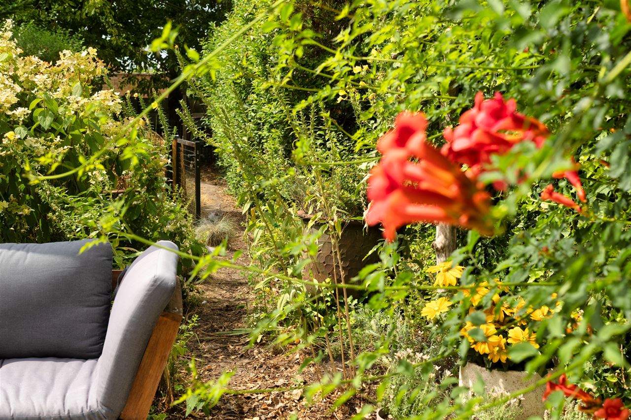 Rustig wonen aan het water met een zonnige, biodiverse tuin